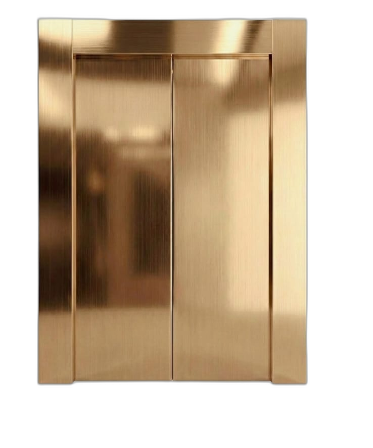 Golden Hairline SS Door
